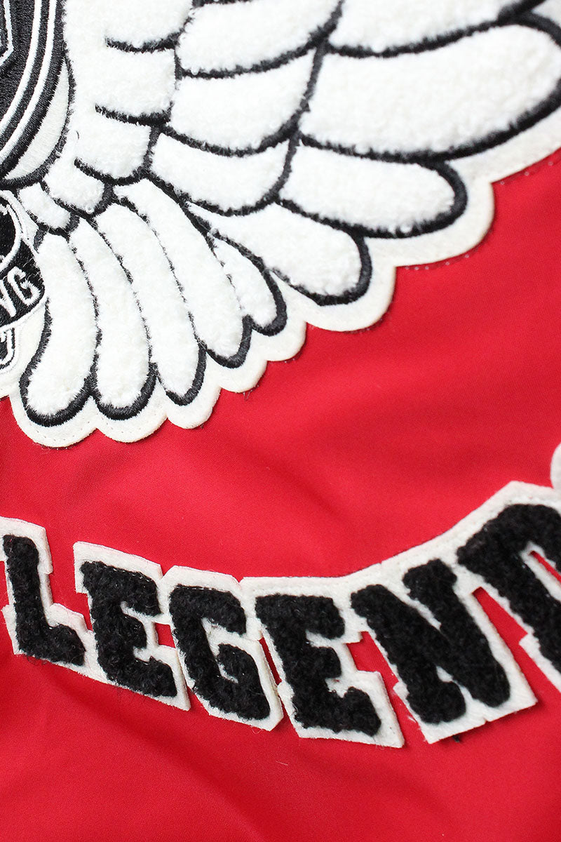 TOP GUN "FLYING LEGEND" NYLON JACKET